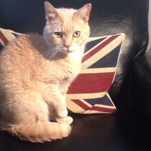 Meet your Posher, Ian